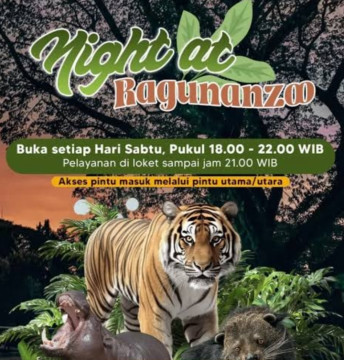 Ilustrasi Ragunan bakal buka malam hari setiap Sabtu. [Instagram]